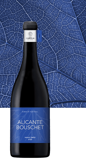 Monocasta Alicante Bouschet Tinto