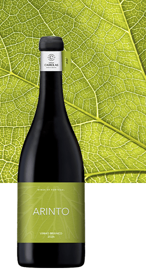 Monocasta Arinto Branco