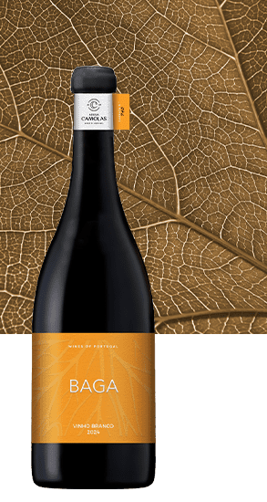 Monocasta Baga Branco