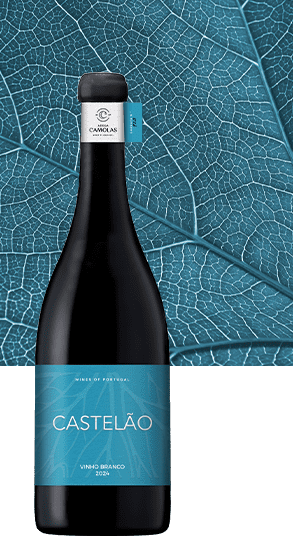 Monocasta Castelão Branco